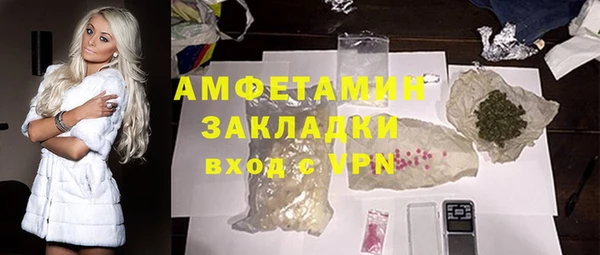 сатива Дмитриев