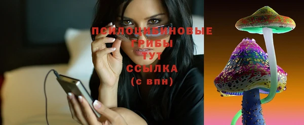 сатива Дмитриев