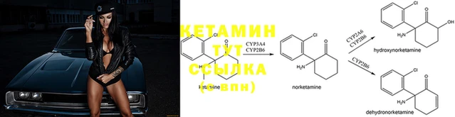 стафф Горно-Алтайск