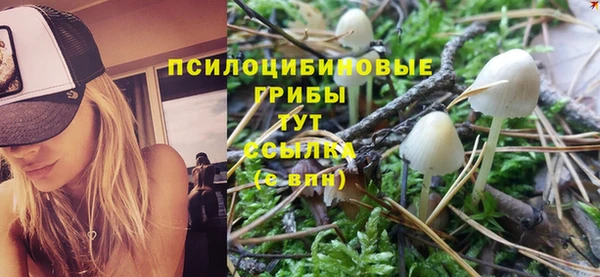 мефедрон Дмитров