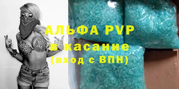 сатива Дмитриев