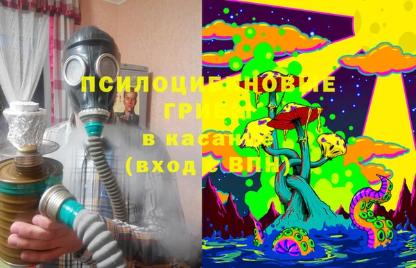spice Горняк