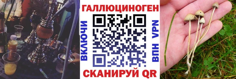 Галлюциногенные грибы Psilocybine cubensis  это телеграм  MEGA ТОР  Находка  магазин продажи наркотиков 